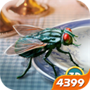 苍蝇模拟器手机版 v1.2.6安卓版
